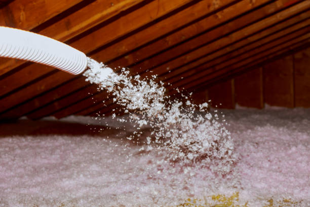 Moose Lake, MN Insulation Contractor Company