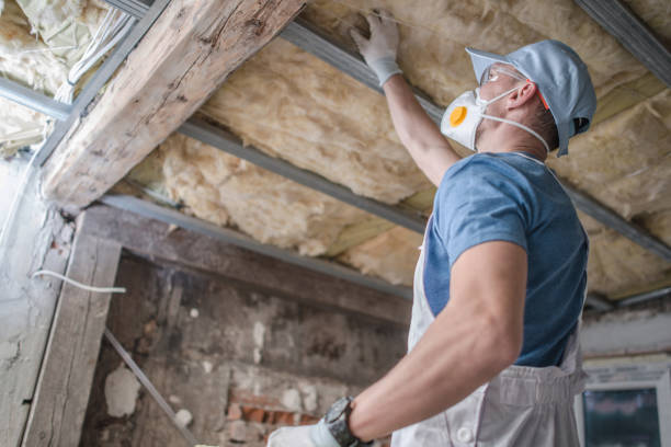 Best Fiberglass Insulation in Moose Lake, MN